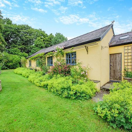 Willow Tit Cottage Capel-Cynon Exterior photo